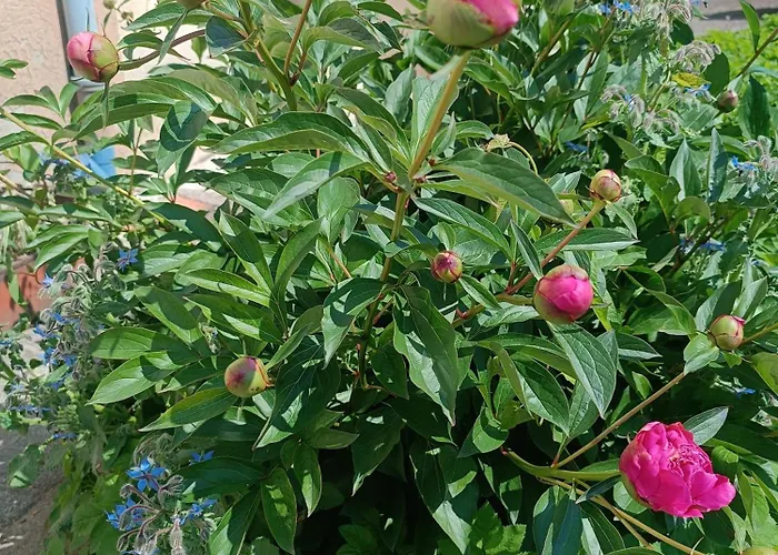 公寓 Moderne Et Boheme *